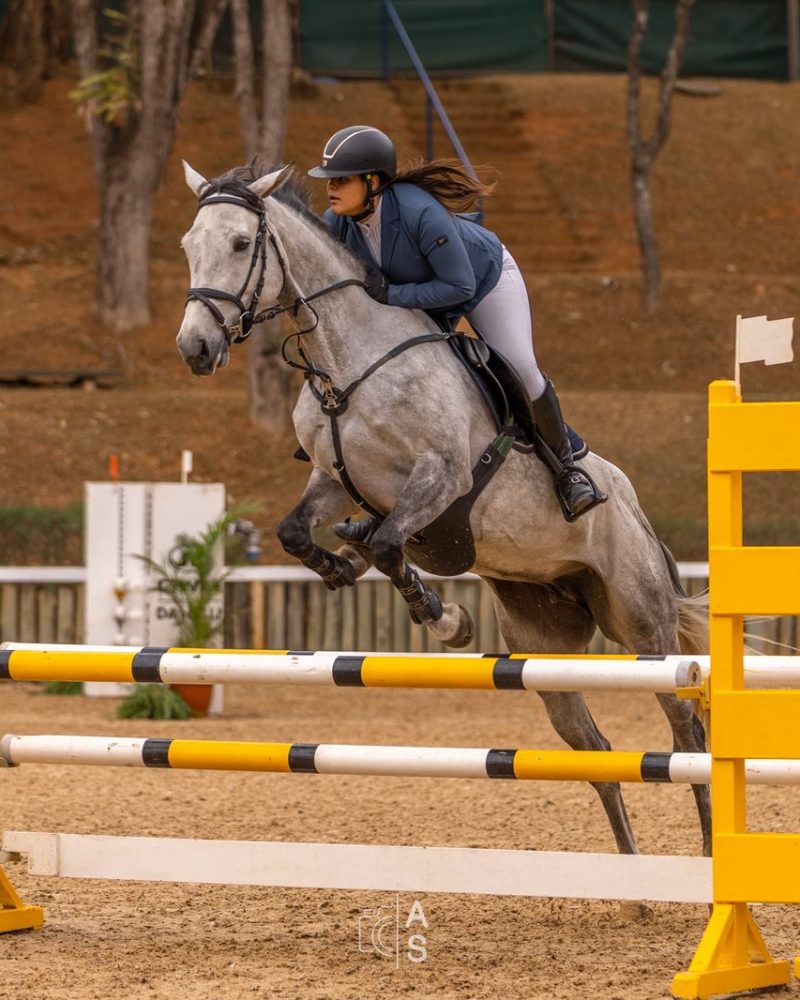 Potros Haras Prates (36)